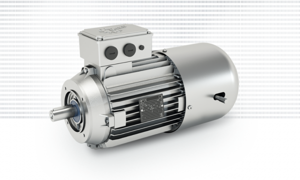 Standard motors - Image 4