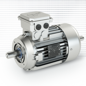 Standard motors