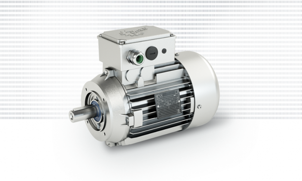 Asynchronous motors