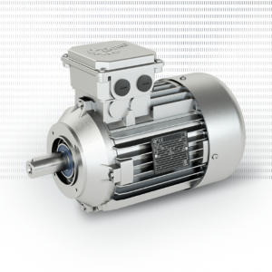 Single-phase motors