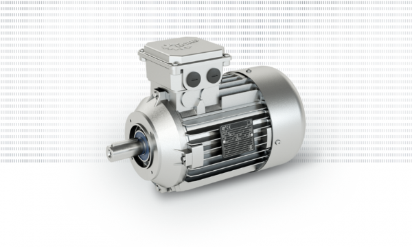 Single-phase motors