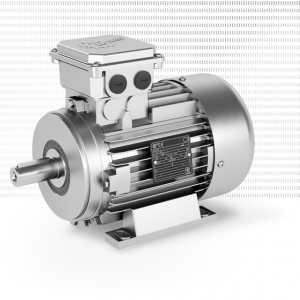 Standard synchronous motors