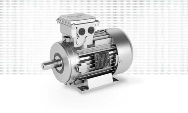Asynchronous motors - Image 2