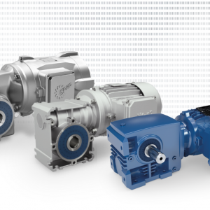 Worm gear motors