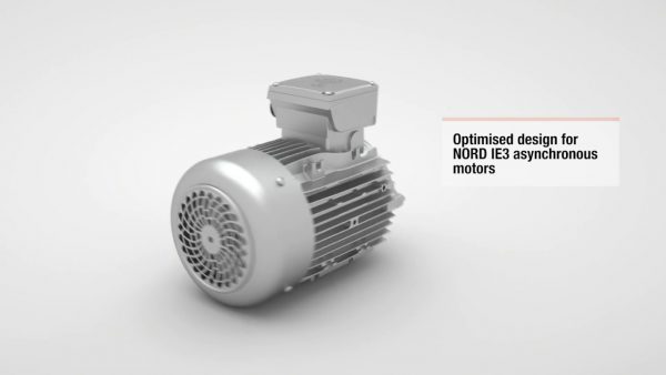 Standard motors - Image 6